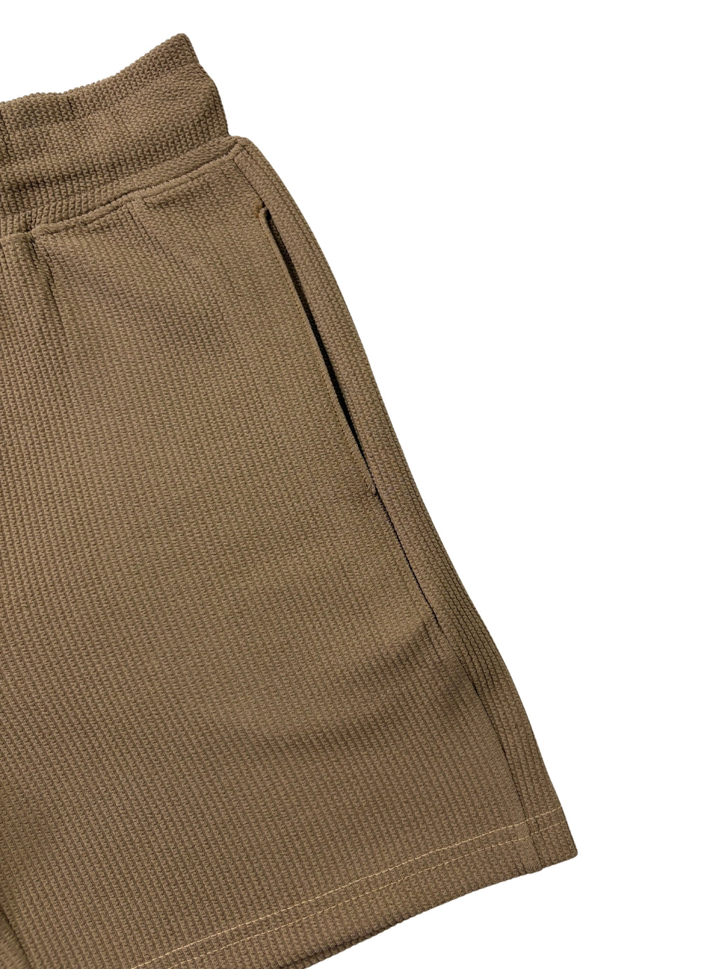The Texture Shorts - Turtle