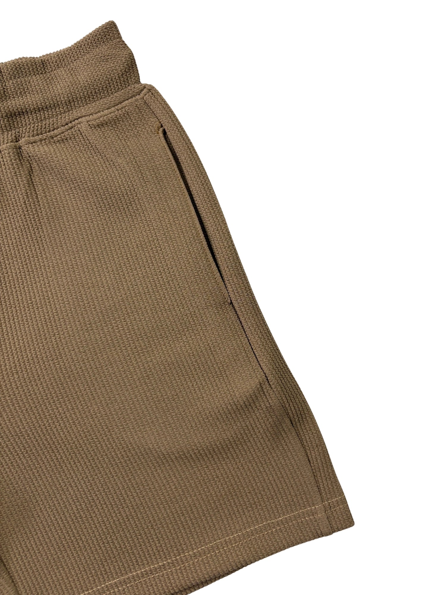 The Texture Shorts - Turtle