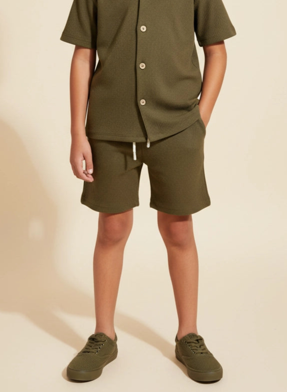 The Texture Shorts - Born to Roam