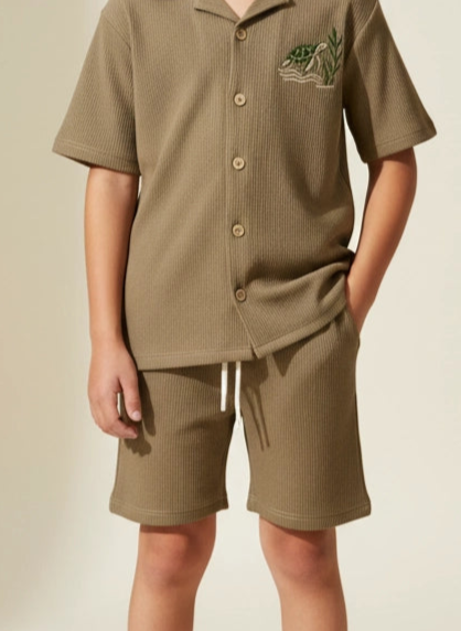 The Texture Shorts - Turtle