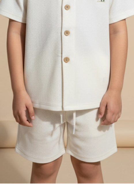 The Texture Shorts - Turtle